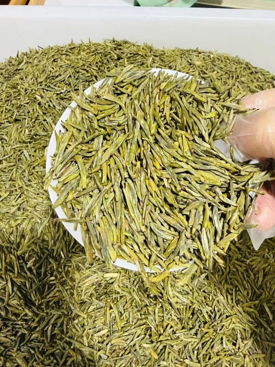 蒙顶山·有机绿茶 产品图